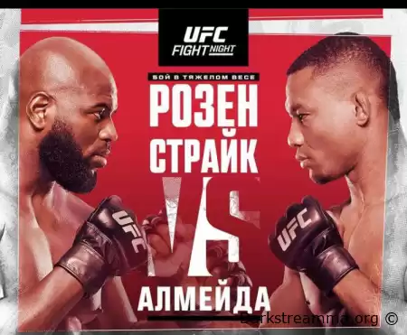 UFC FIGHT NIGHT: ROZENSTRUIK vs ALMEIDA онлайн трансляция