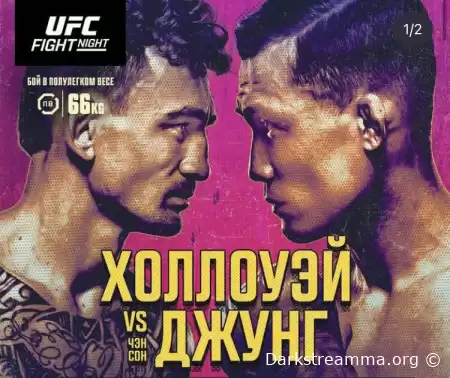 UFC Fight Night 225: Дата, время, расписание боев - Когда, Где и Как смотреть Холловэй - Корейский Зомби?