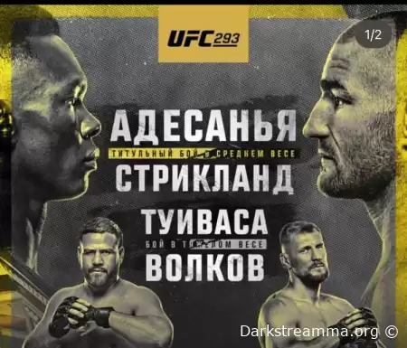 UFC 293: Адесанья – Стрикленд, Туиваса – Волков cмотреть онлайн