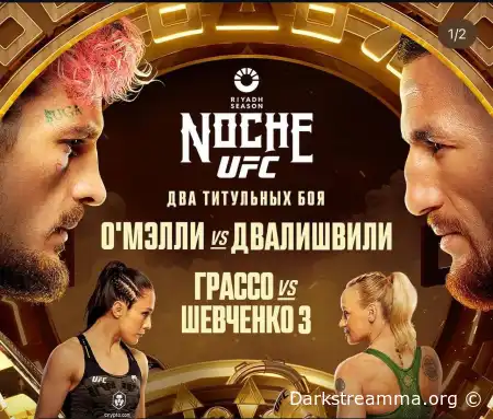 UFC 306 Noche Шон О’Мэлли – Мераб Двалишвили прямая трансляция смотреть онлайн бесплатно